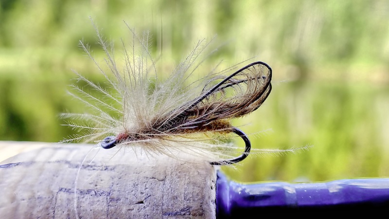 260721 rena kaj kirkeby caddis