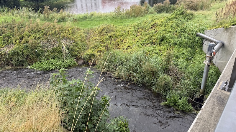 Kastbjerg Å ved Åmølle 260902 mariager kastbjergaa aamoelle