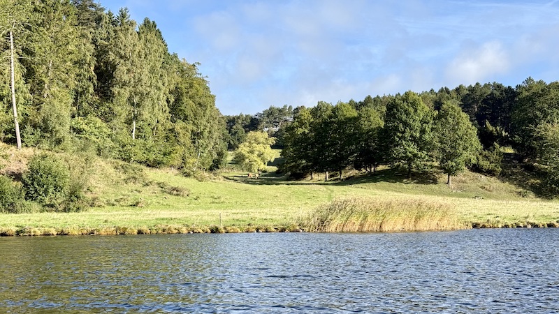Mariager Fjord øst for Bramslev Bakker 260925 bramslev slugten