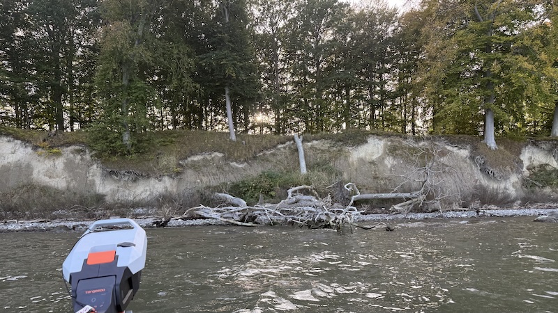 Bøgeskoven Stevn 261016 stevns skrant bogeskov