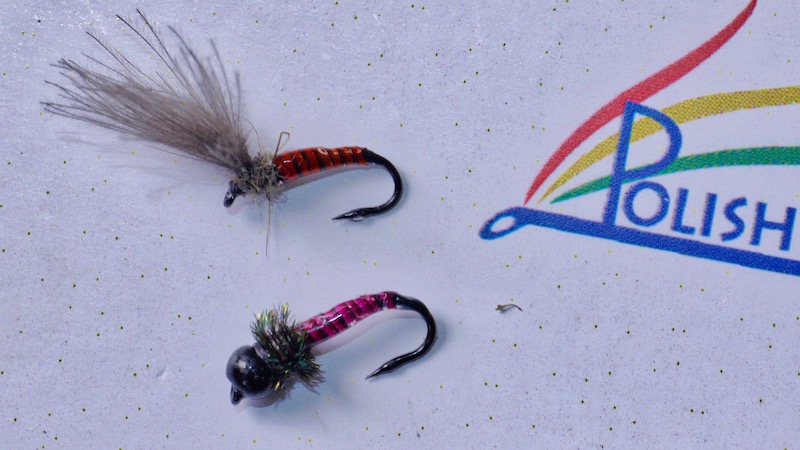 180709 polish quills dry nymph