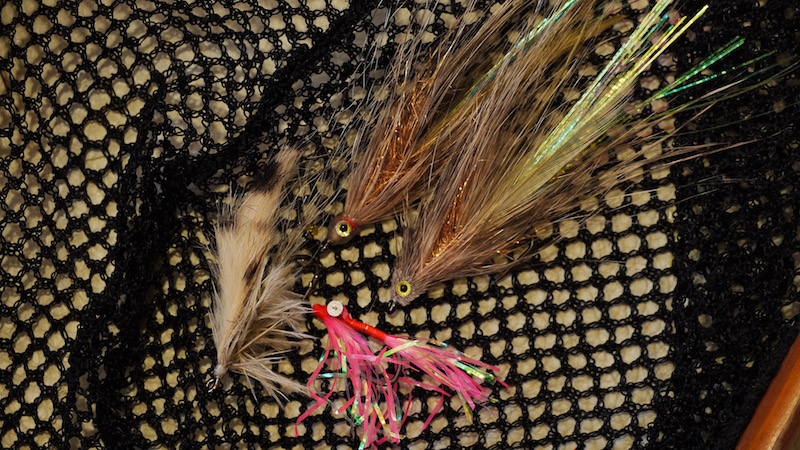 Brakvandsrejen, X-streamer og Udbyhøj AHREX X streamer brakvandsreje udbyhoj