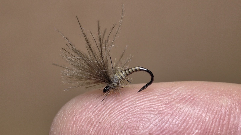 CDC dryfly