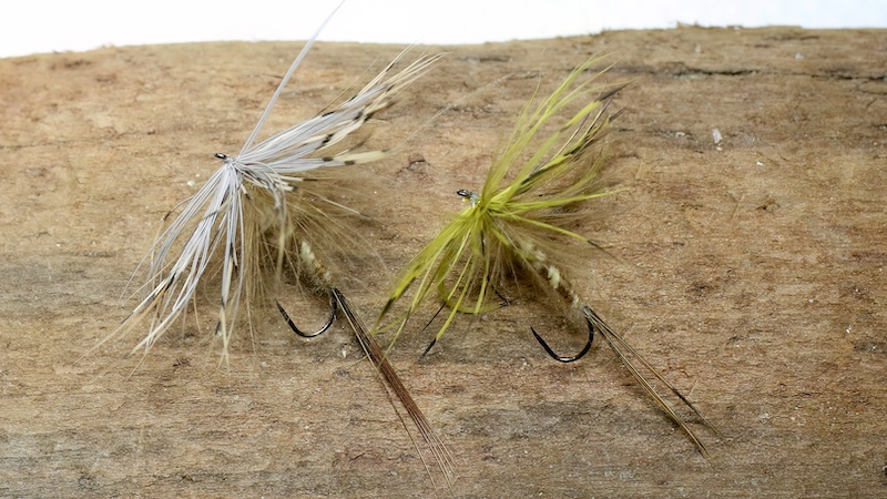 221226 danica vulgata