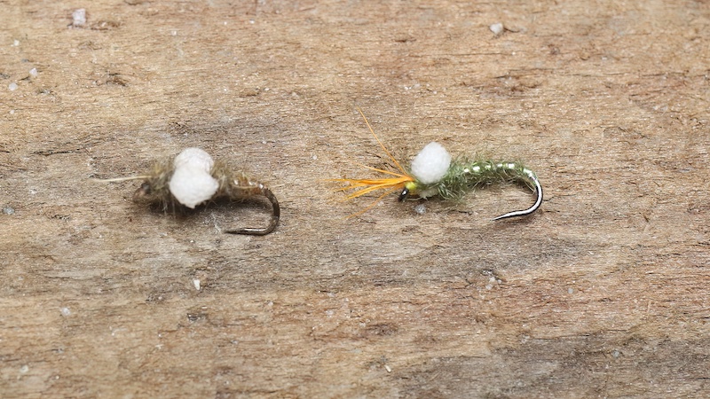 221229 hl midge floating pupea