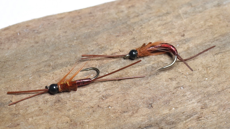 Slørvinge nymfer / larver 221231 stoneflye nymphs cobber