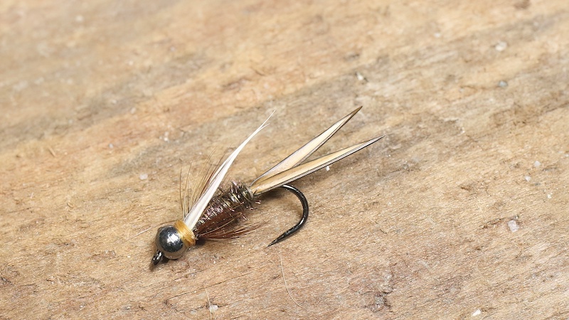 Prince Nymph 230102 prince nymph