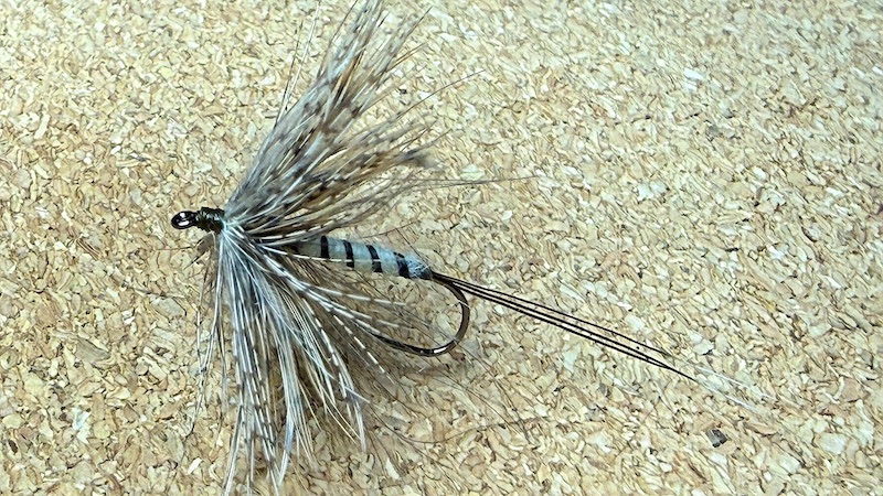 260206 danica partridge sneppe