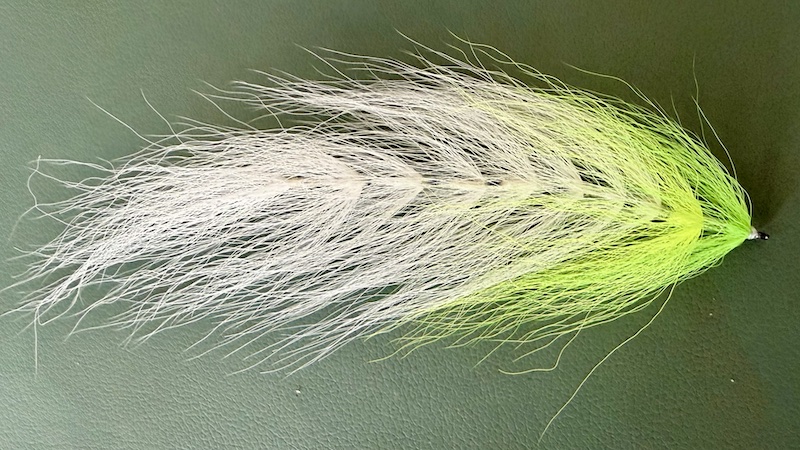 260208 the beast white green