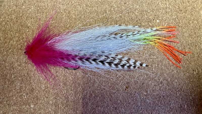 260221 geddeflue bagdel