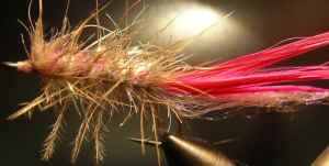 CTL PINK NANDU