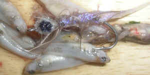 Nandu fish