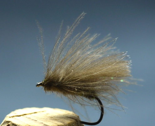 marit-kronen CDC Caddis