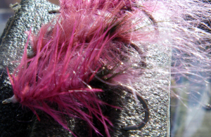 Nandu Hot Pink