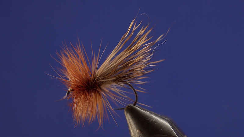 nelson caddis 800 450