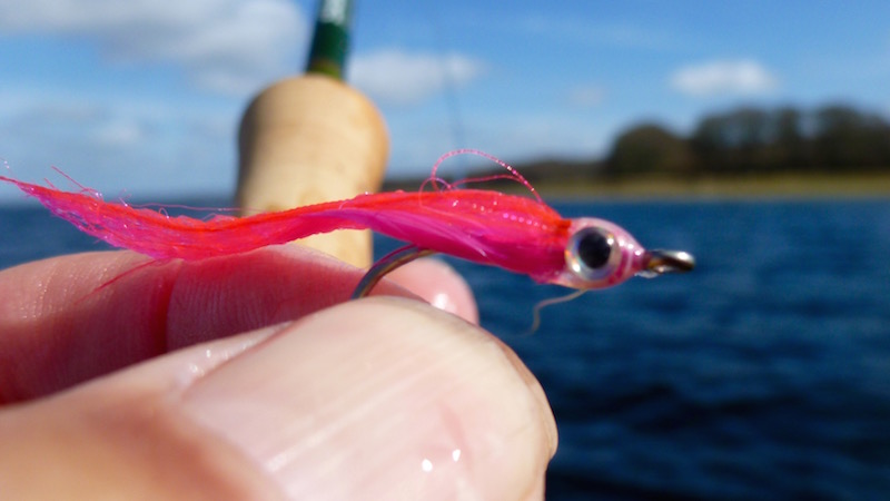 pinky pain 800 450