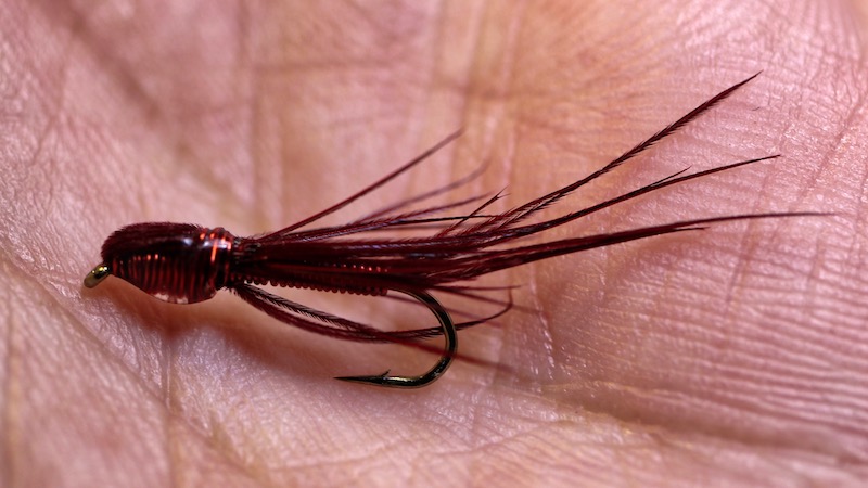 Nymfer, snegle, biller og lignende
