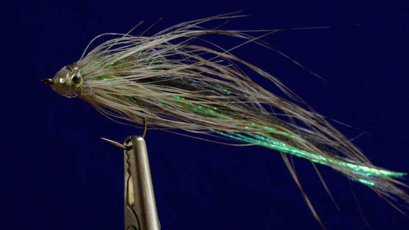 x streamer 800 450