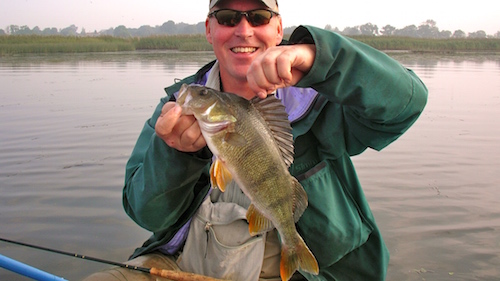 aborre white jig