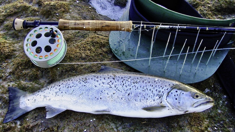 Guide seatrout