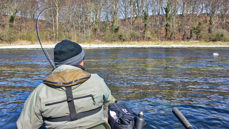 guide strike trout