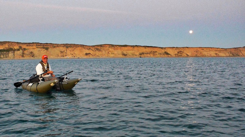 Havaborre pontoon moonlight