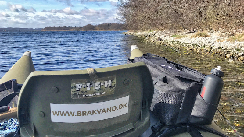 Mariager Fjord Vive