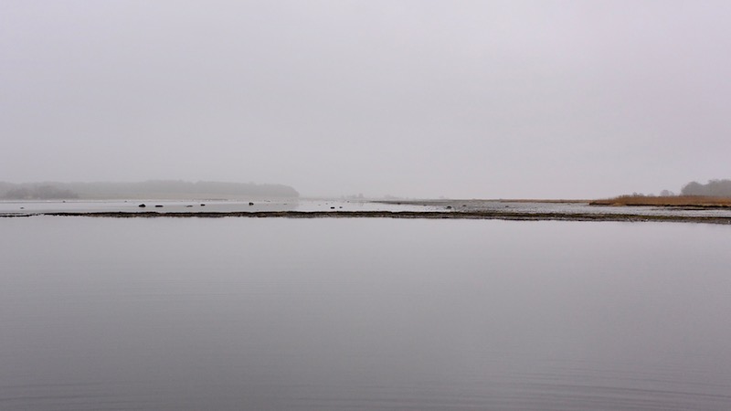 Mariager Fjord lergrav vandstand