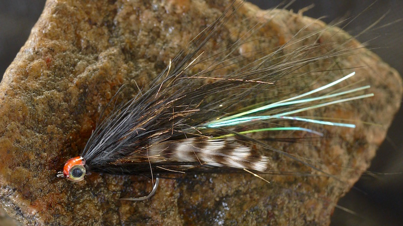 2016 x streamer black