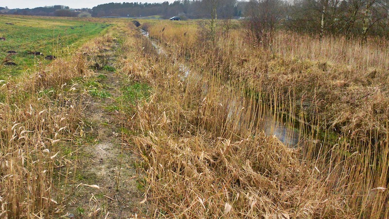 180115 oesterkaerbaek opgravet