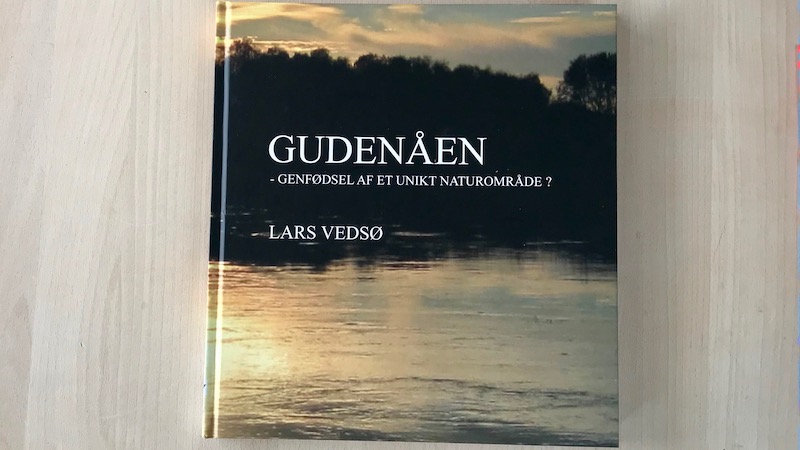 181108 gudenaaen tange 