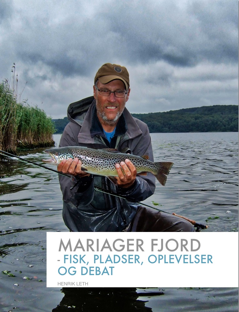 Frontpage Mariager Fjord