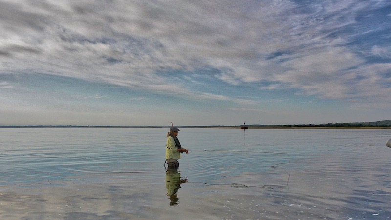 190506 nyheder seatrout flyfisher