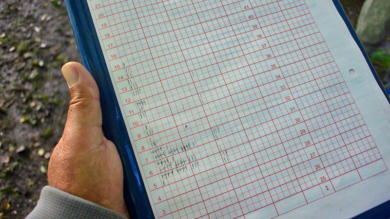 Bestandanalyse 190913 betandanalyse skema