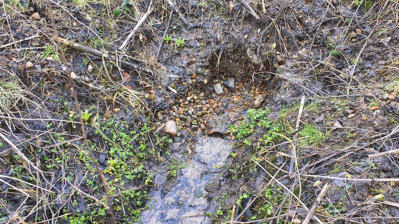 191215 gudenaa wetland