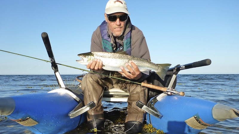 200402 hl seatrout