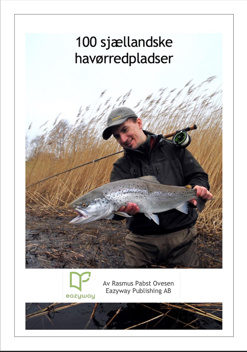 210117 fiskepladser sjalland omslag