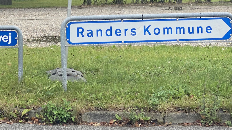 210826 vildeblomster asfalt kanter