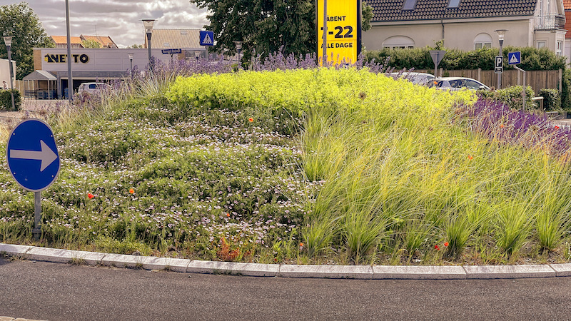 210826 vildeblomster roundabout