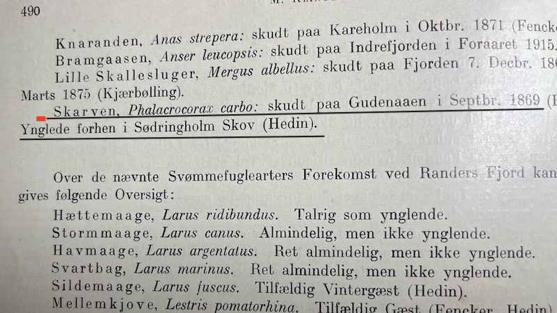 Omtale af skarven i 1916 220219 skarv randers fjord 2019