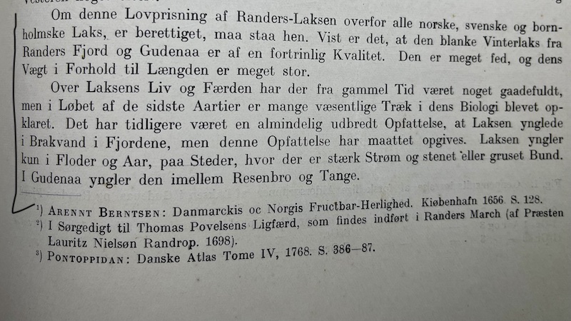 Omtale af laksen i 2019 220219 skarv randers fjord laksen