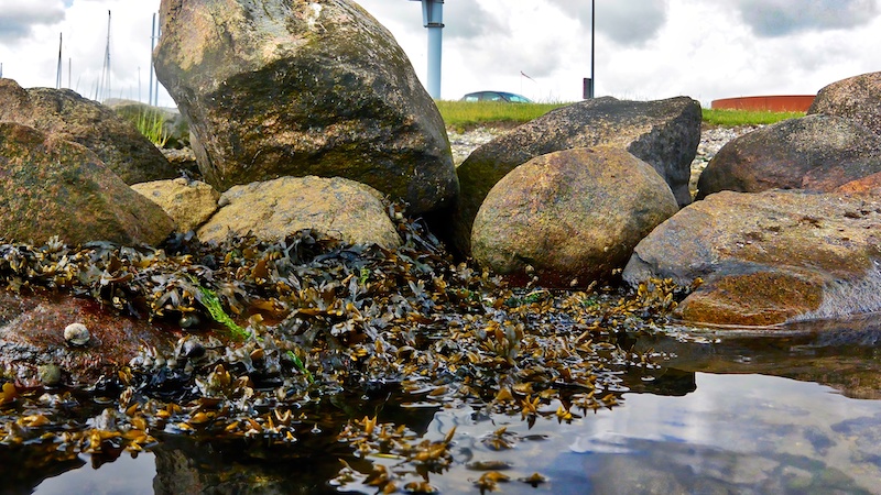 221010 stenrev udbyhoj