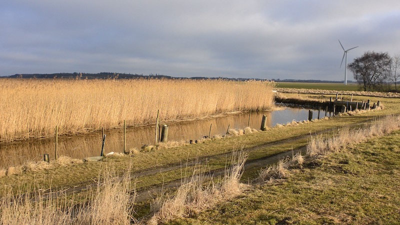 Afvandingskanaler ved Randers Fjord 230607 kanaler opdyrkning