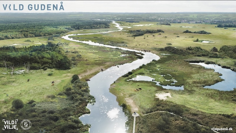 250424 gudenaa landskab