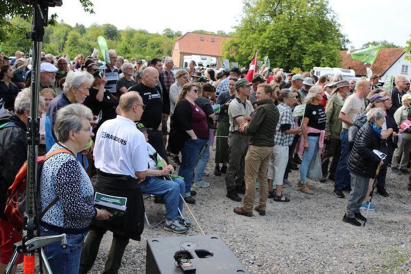 250622 fussing demo tilhor