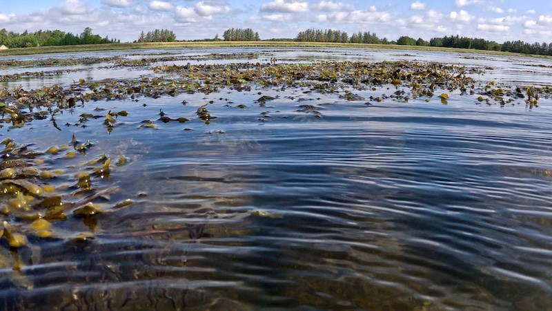 250910 stenrev skolerev