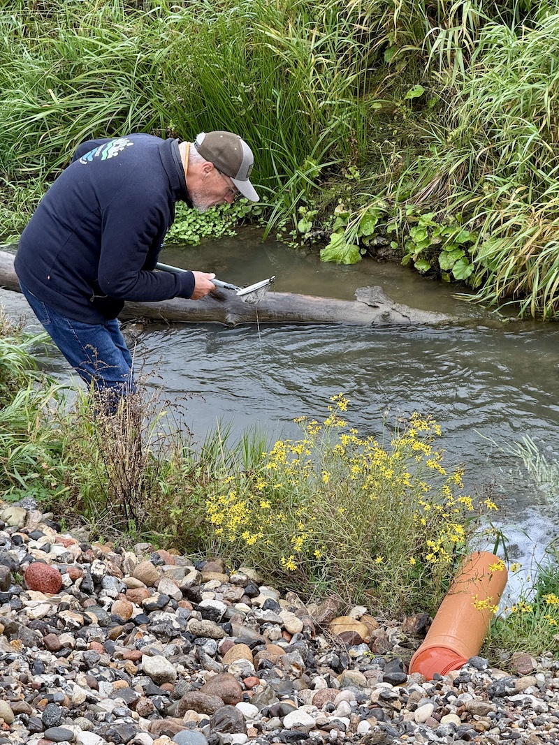 251022 henrik leth makro undersog