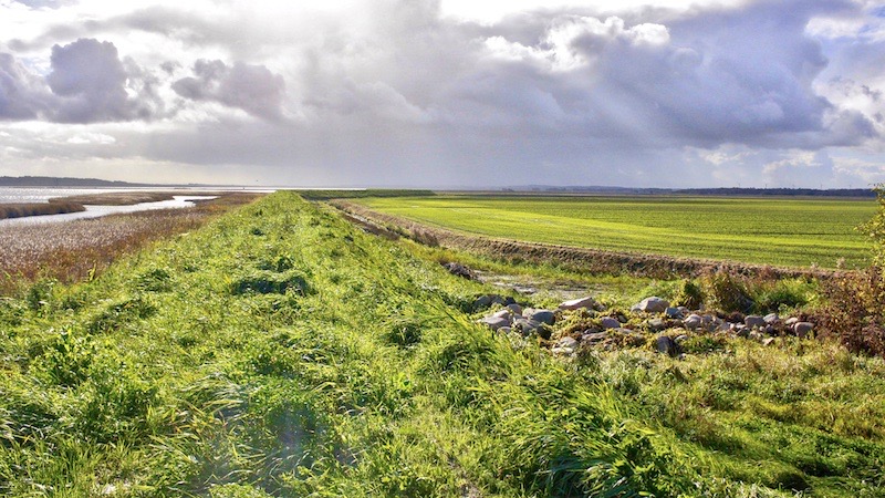 251027 randers fjord dyrkning