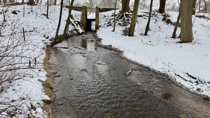 260111 svejstrup skole