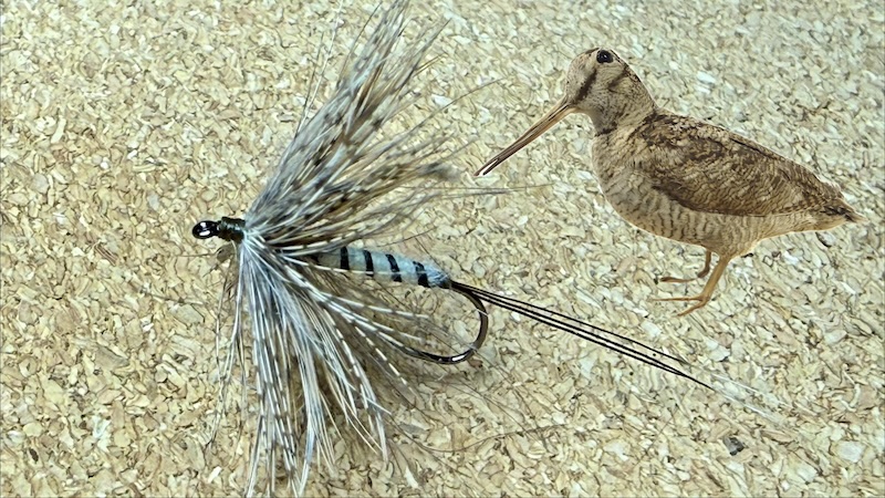 260215 mayfly skovsneppe